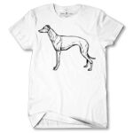 Men's Tshirt Thumbnail