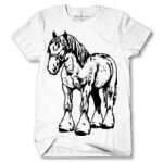 Men's Tshirt Thumbnail