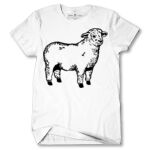 Men's Tshirt Thumbnail