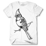 Men's Tshirt Thumbnail