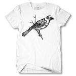 Men's Tshirt Thumbnail