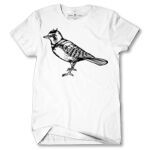 Men's Tshirt Thumbnail